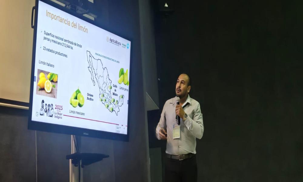 Ciencia y cultura se entrelazan en el VI Congreso de Entomología Aplicada