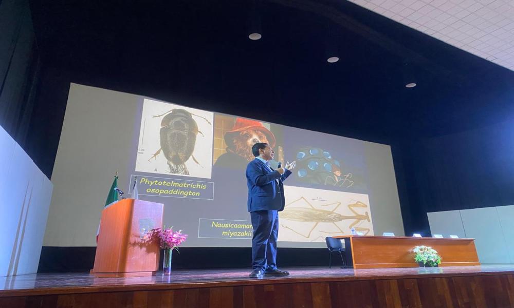 Ciencia y cultura se entrelazan en el VI Congreso de Entomología Aplicada