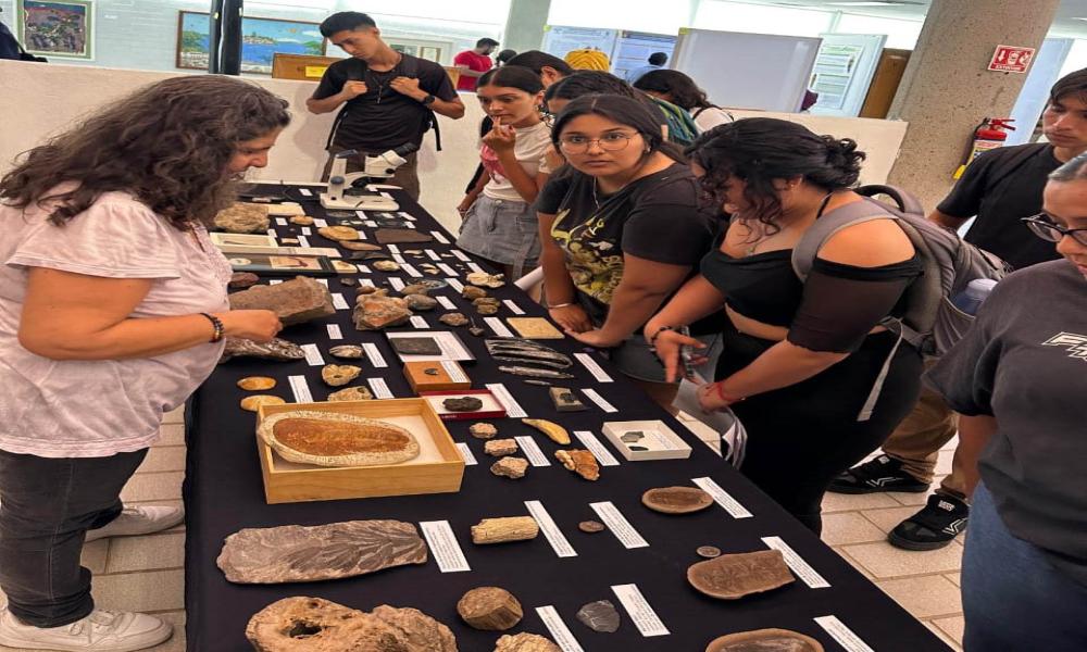 Ciencia y cultura se entrelazan en el VI Congreso de Entomología Aplicada