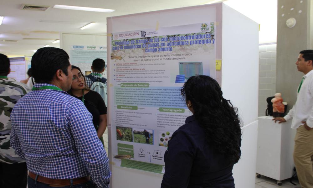 Ciencia y cultura se entrelazan en el VI Congreso de Entomología Aplicada