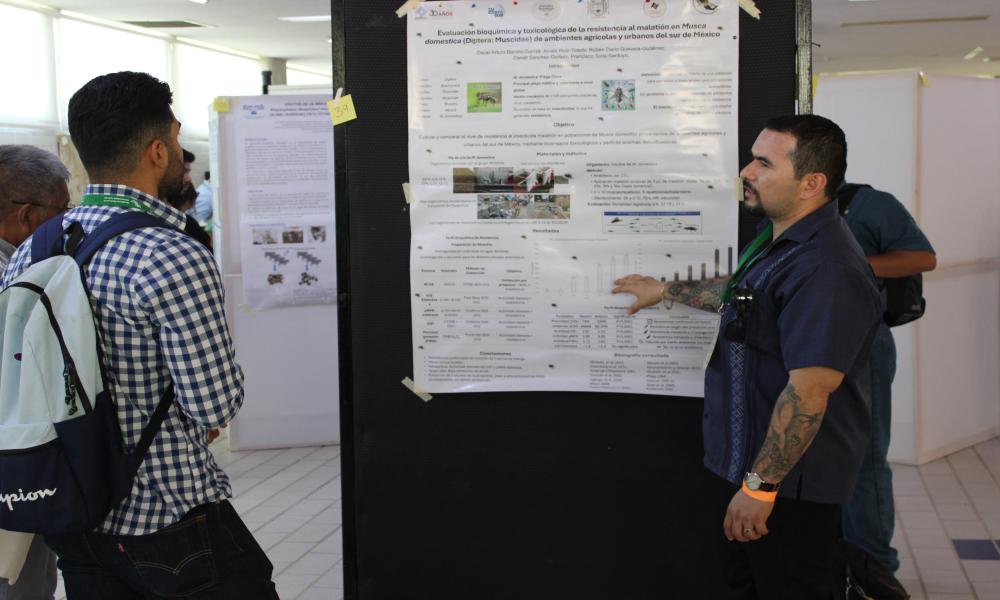 Ciencia y cultura se entrelazan en el VI Congreso de Entomología Aplicada