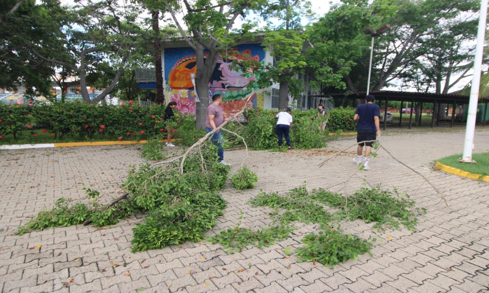 El CUCosta está en condiciones para desarrollar en forma normal sus actividades