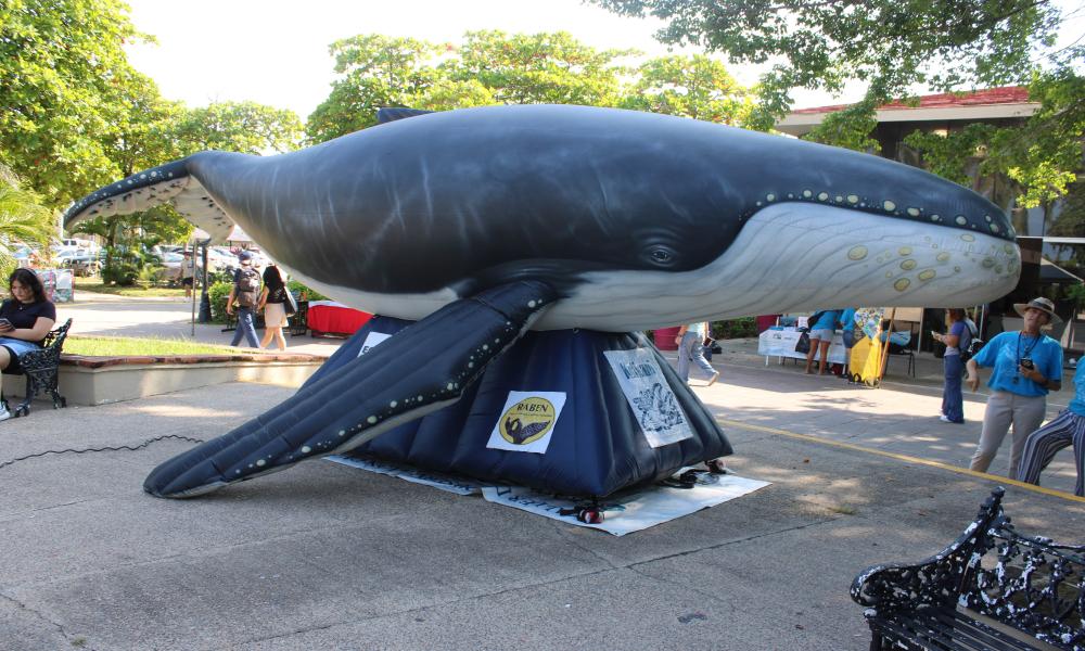Celebra CUCosta el Día Mundial de los Animales con la Feria Ambiental