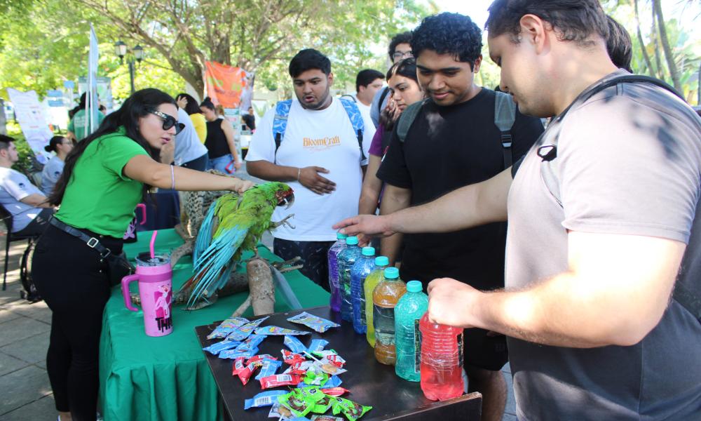 Celebra CUCosta el Día Mundial de los Animales con la Feria Ambiental