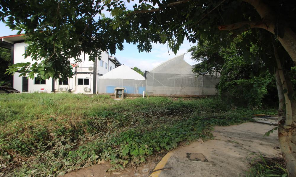 El CUCosta está en condiciones para desarrollar en forma normal sus actividades