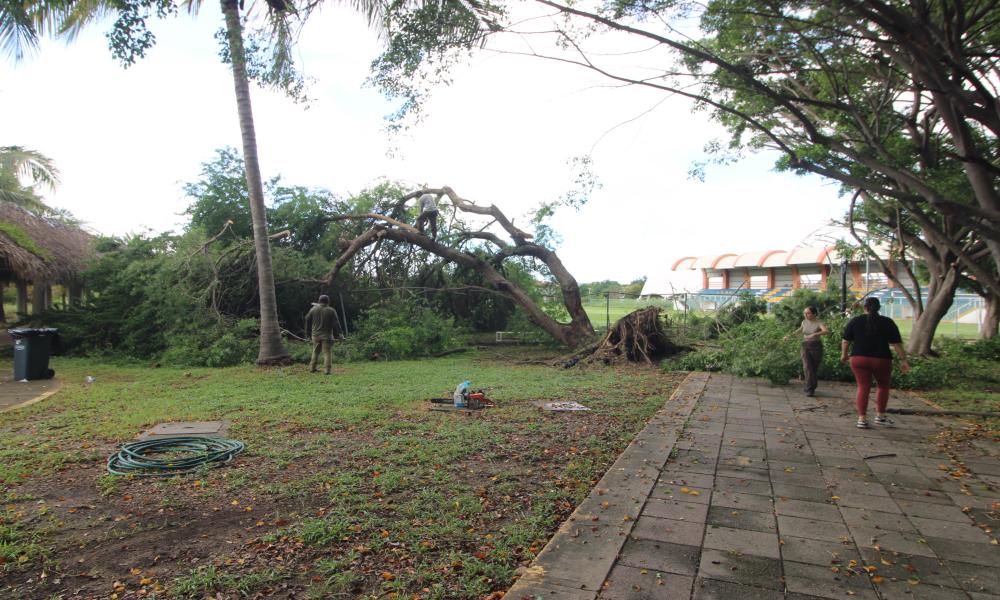 El CUCosta está en condiciones para desarrollar en forma normal sus actividades