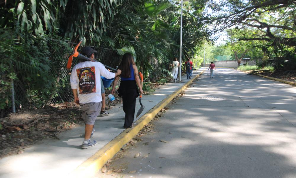 Estudiantes del CUCosta participan en jornada de mantenimiento y reforestación de áreas verdes universitarias