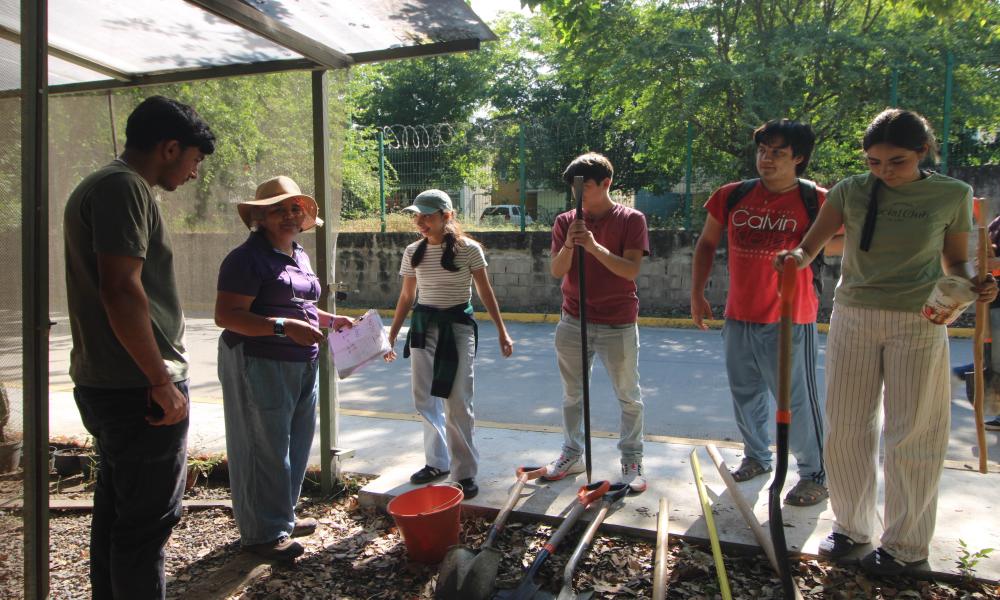 Estudiantes del CUCosta participan en jornada de mantenimiento y reforestación de áreas verdes universitarias