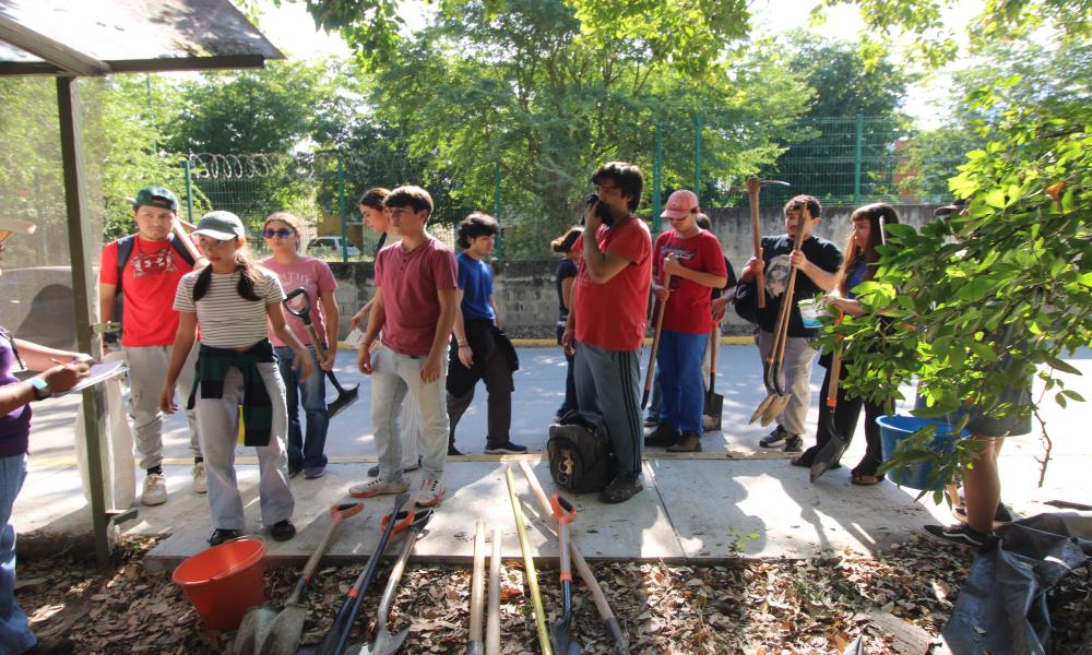 Estudiantes del CUCosta participan en jornada de mantenimiento y reforestación de áreas verdes universitarias