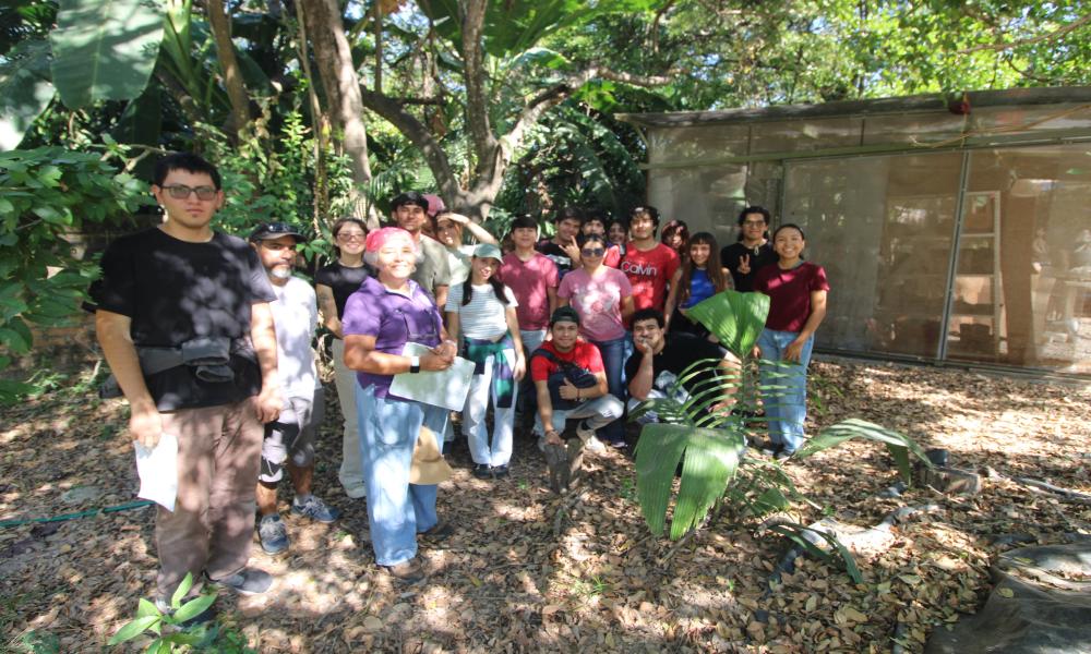 Estudiantes del CUCosta participan en jornada de mantenimiento y reforestación de áreas verdes universitarias