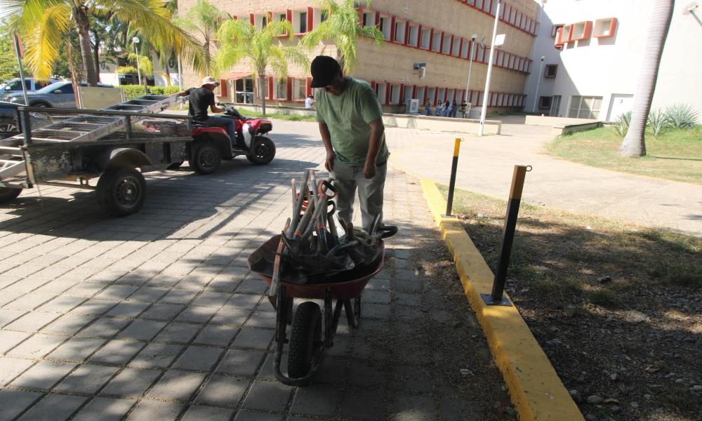 Estudiantes del CUCosta participan en jornada de mantenimiento y reforestación de áreas verdes universitarias