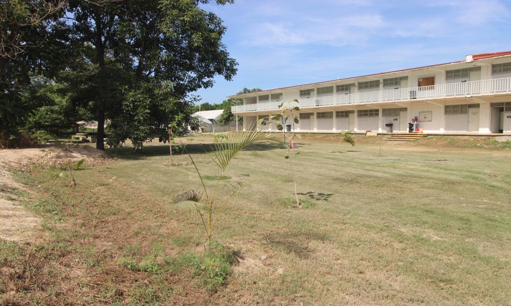 Estudiantes del CUCosta participan en jornada de mantenimiento y reforestación de áreas verdes universitarias