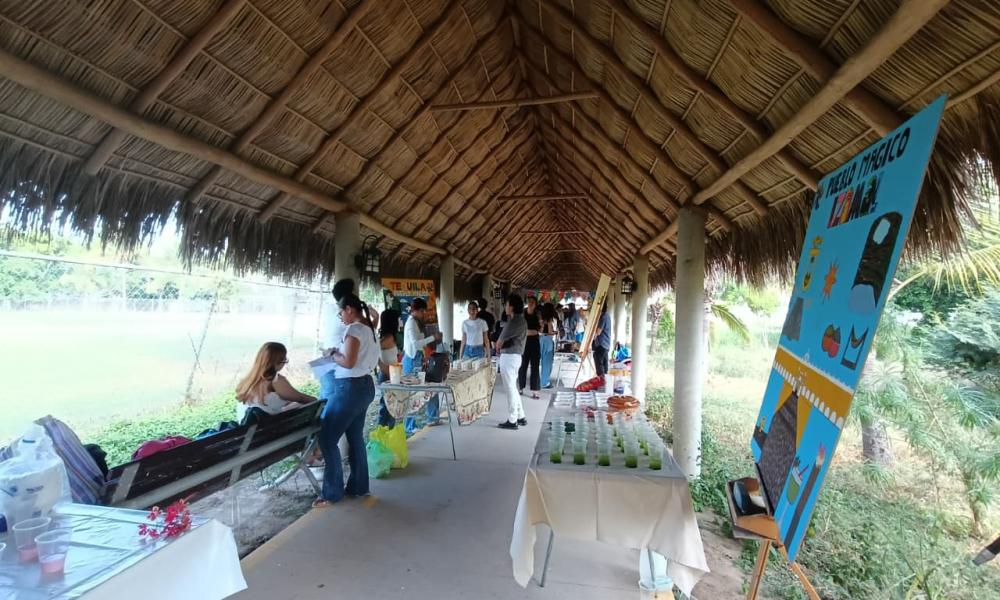 Estudiantes participan en el XXII Campamento de Recreación, Cultura Física y Deportes