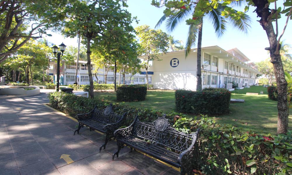  Primera etapa del programa de pintura en edificios