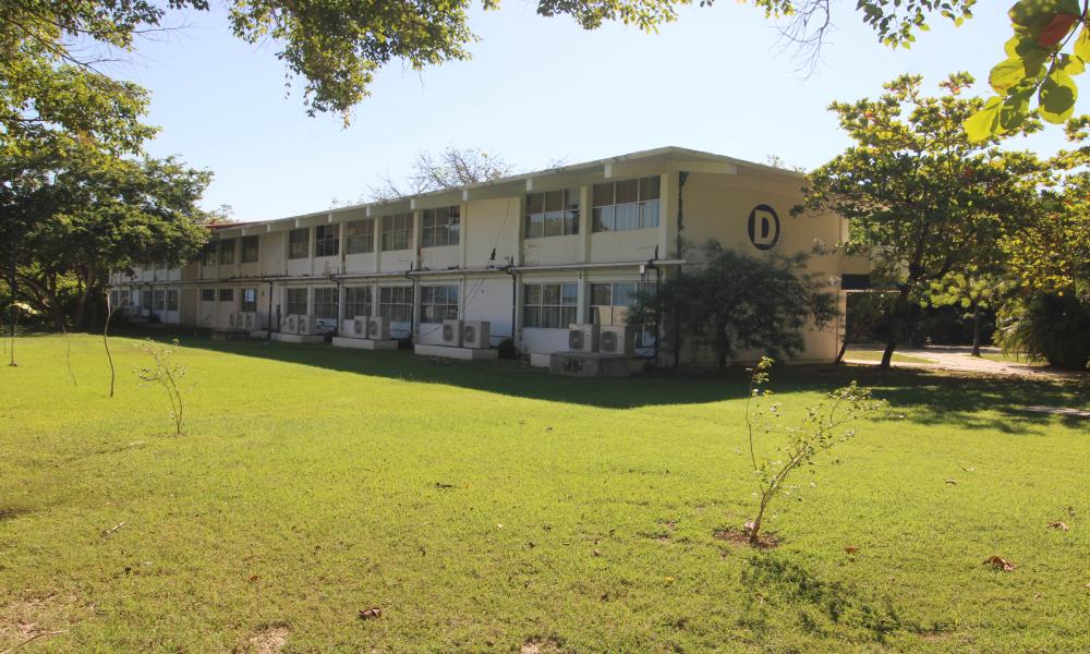  Primera etapa del programa de pintura en edificios