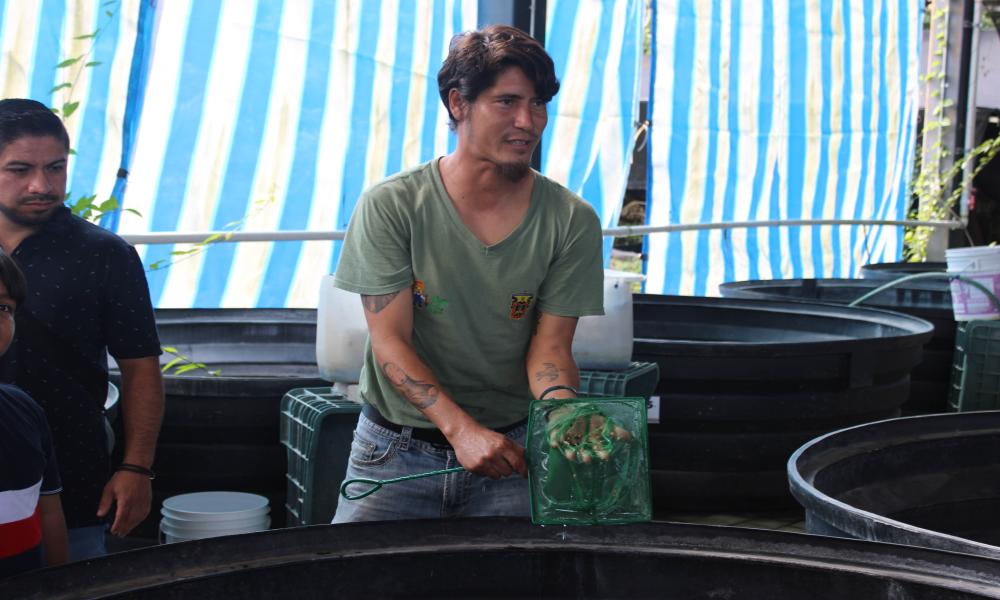 Estudiantes de la Escuela Primaria Ignacio Allende visitan laboratorios del CUCosta