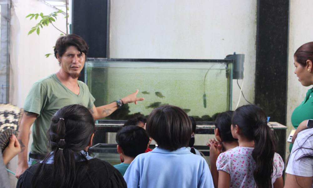  Dr. Diego Galaviz presentó diversas especies los diferentes tipos de peces que se mantienen en cautiverio con fines de investigación a los niños y niñas de la Escuela Primaria Ignacio Allende, del Fraccionamiento Altavela en Bahía de Banderas, Nayarit