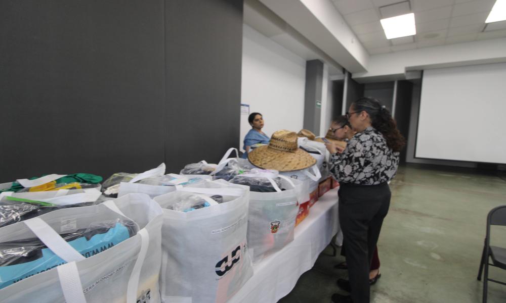 Equipo de movilidad, protección visual, respiratoria y auditiva; protección para cabeza y cuerpo; guantes y protección manual, ropa institucional y de trabajo, Calzado de seguridad