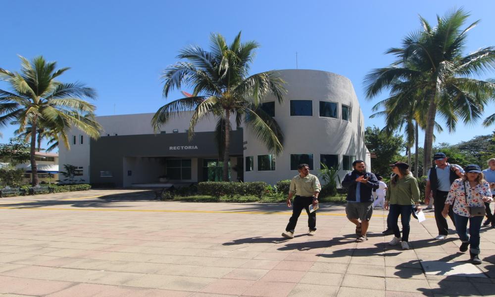 Impulsan estrategia interinstitucional para proteger el hábitat de la tortuga Casquito Vallarta