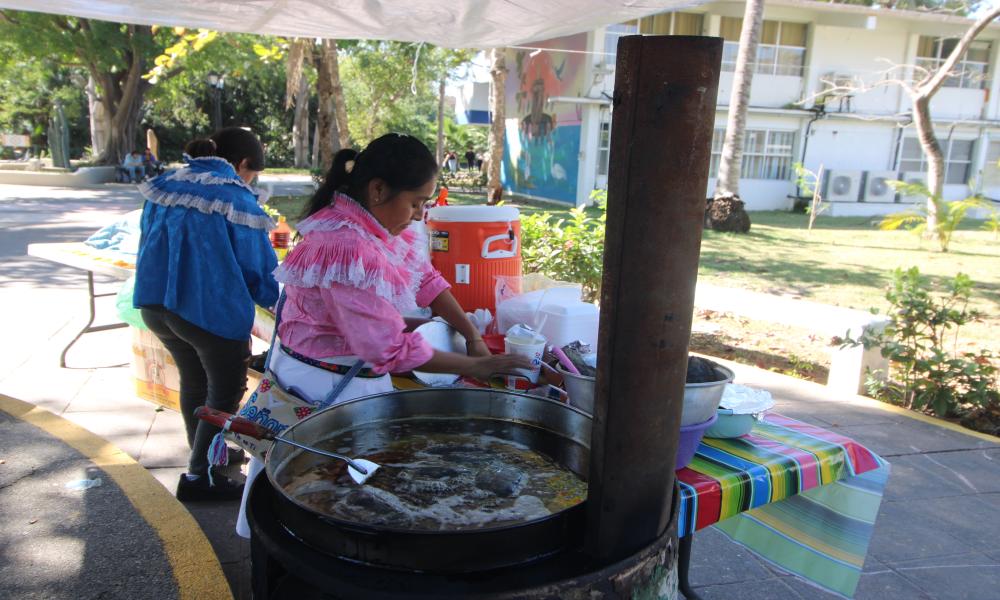 Inicia el Festival “Raíces Vivas: Arte, Lengua y Tradición” en el CUCosta