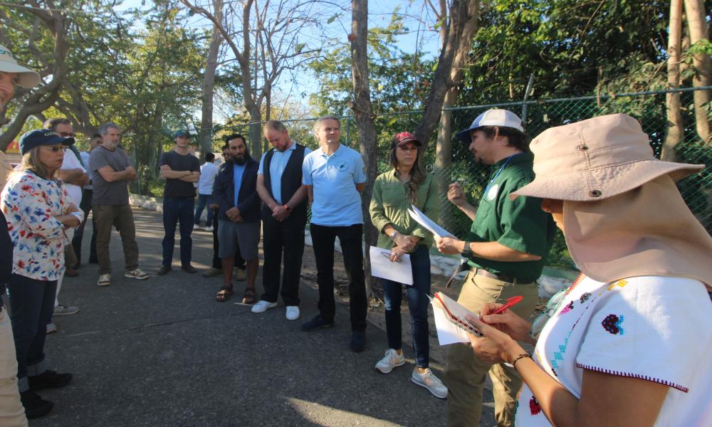 Impulsan estrategia interinstitucional para proteger el hábitat de la tortuga Casquito Vallarta