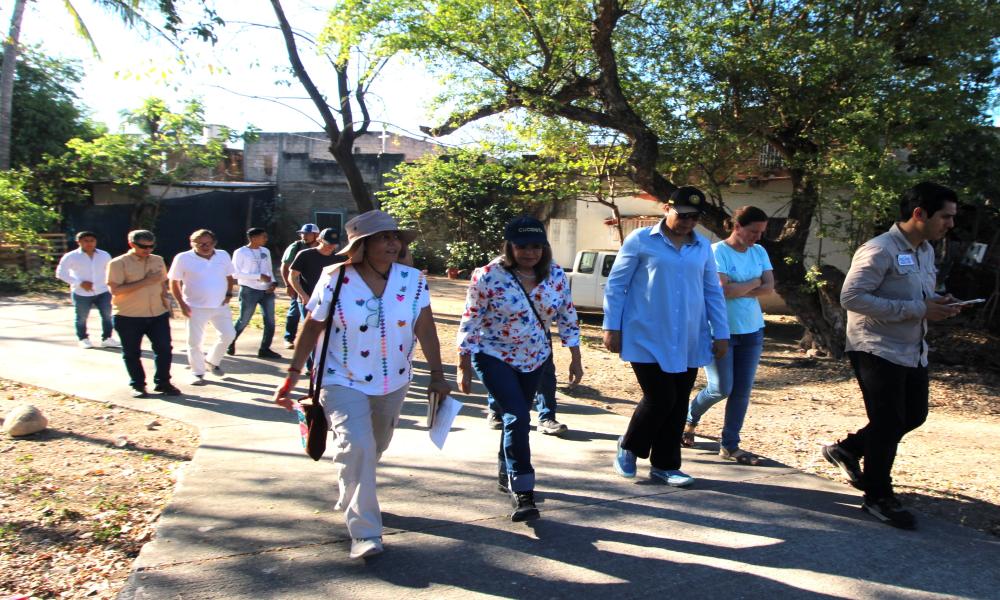 Impulsan estrategia interinstitucional para proteger el hábitat de la tortuga Casquito Vallarta