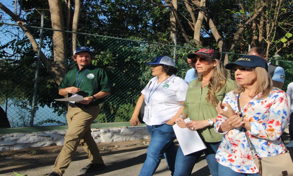 Impulsan estrategia interinstitucional para proteger el hábitat de la tortuga Casquito Vallarta