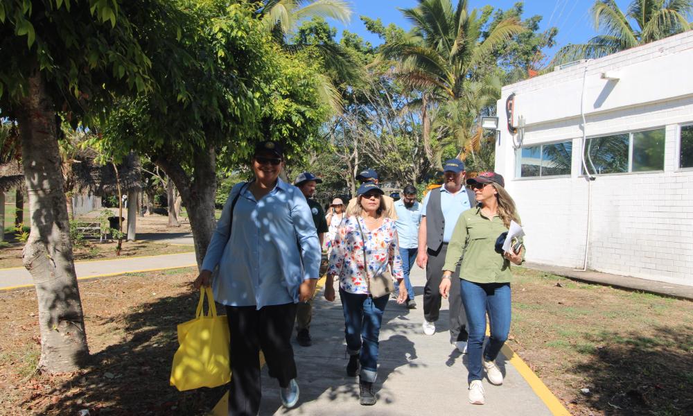 Impulsan estrategia interinstitucional para proteger el hábitat de la tortuga Casquito Vallarta