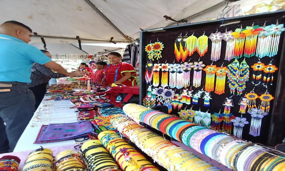 Inicia el Festival “Raíces Vivas: Arte, Lengua y Tradición” en el CUCosta