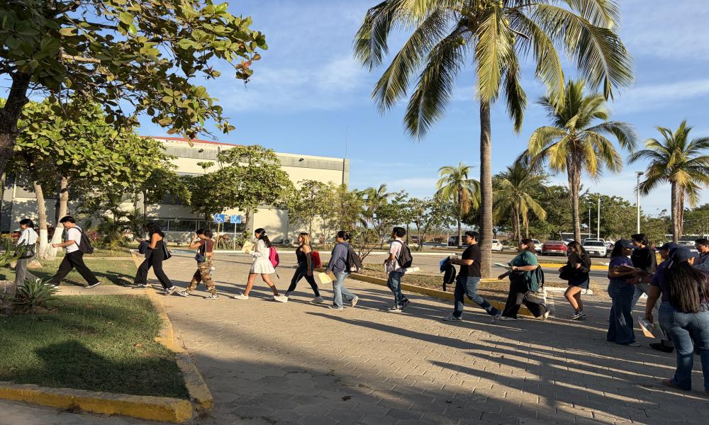 Más de 544 estudiantes presentaron el examen EGEL-CENEVAL en el Centro Universitario de la Costa