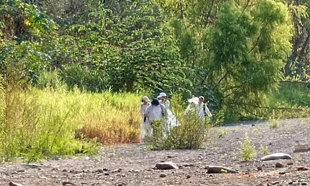 Estudiantes del CUCosta participan en jornada de limpieza en el río Pitillal