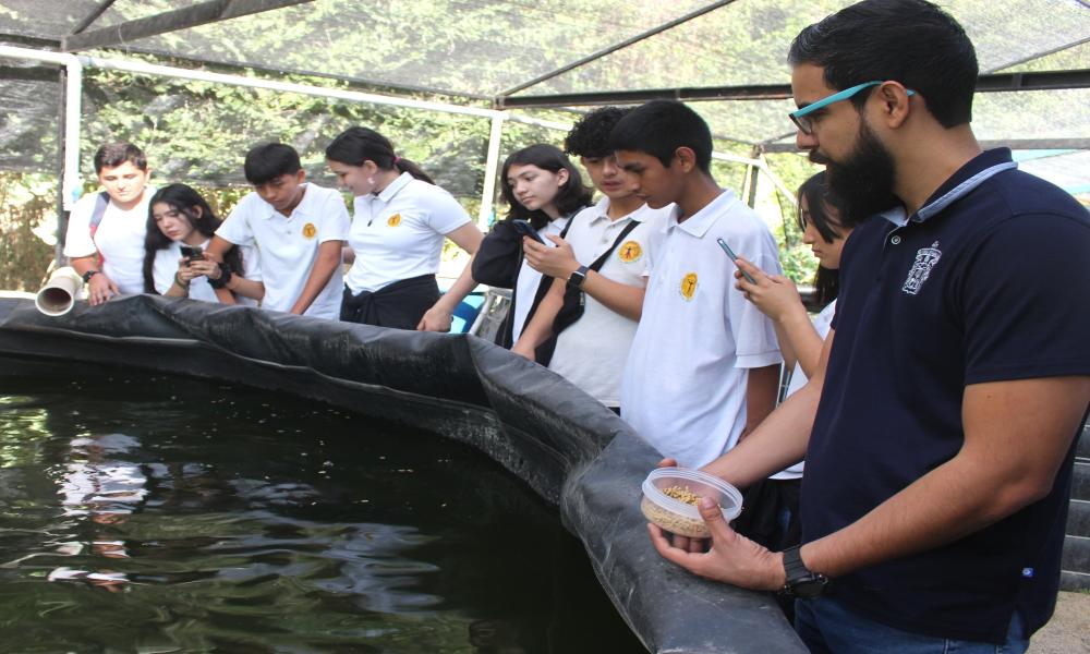 CUCosta-UdeG obtiene patente por innovación en alimentación acuícola