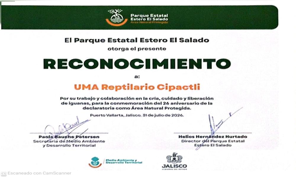 CUCosta participó en la liberación de 180 crías de iguana verde durante el 26 aniversario del Estero El Salado 