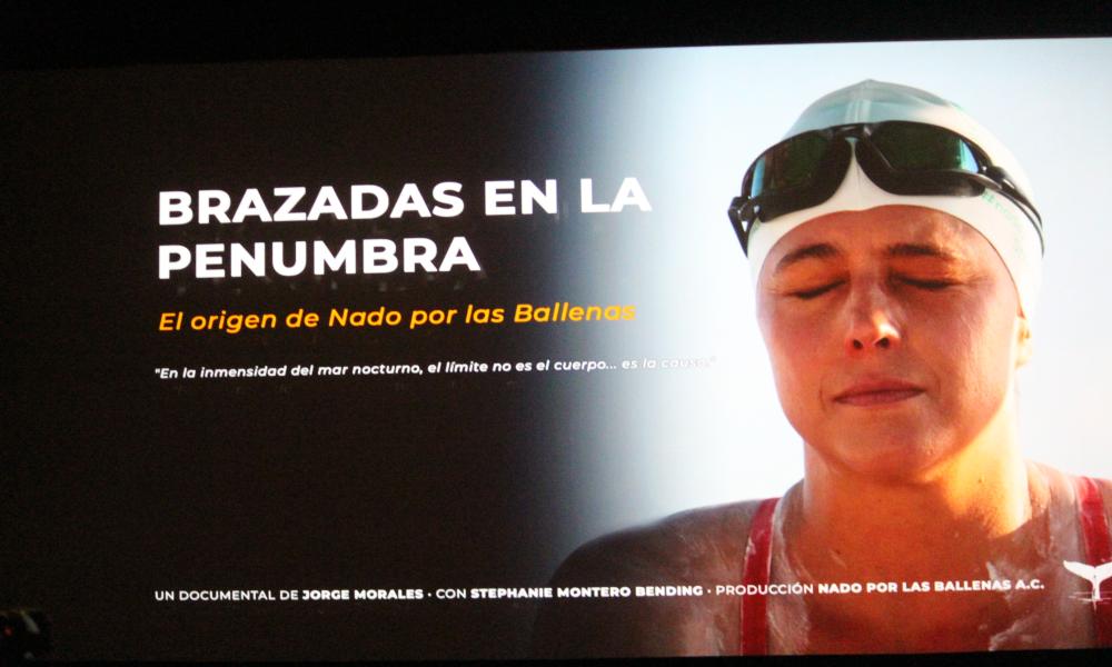 “Documentales de Vida”,