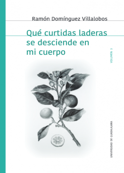 Qué curtidas laderas se desciende en mi cuerpo