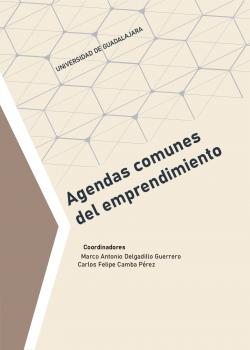 Agendas comunes del emprendimiento