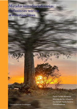 Miradas interdisciplinarias. Reflexiones teóricas e investigaciones