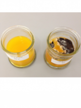 Investigadora del CUCosta colabora en tecnología de “Efecto del tiempo”