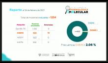 UdeG y Genes 2 Life crean COVIFLU KIT, prueba para la detección de COVID-19 e influenza A y B