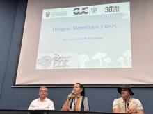 Con éxito culminan las actividades del 2do. Festival del Hongo