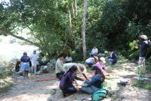 Herbario PV del Centro Universitario de la Costa: apoyo a la docencia y educación ambiental en la región de Bahía de Banderas, Jalisco-Nayarit