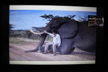 Urge Mayor Atención en Problemas Relacionados con la Sustentabilidad Ambiental Jorge Téllez