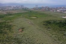 UdeG, sólo respaldará proyecto que tenga Soporte Técnico y Científico para proteger el estero “El Salado” Dr. Jorge Téllez