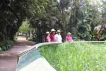 Rectores del CUCosta y CUCSur establecen acuerdos de colaboración