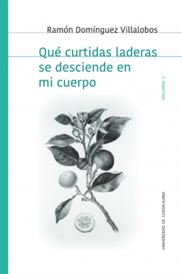 Qué curtidas laderas se desciende en mi cuerpo