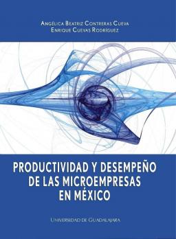 Productividad y Desempeño de las Microempresas en México